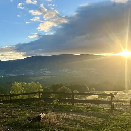 La Vie Pradis *