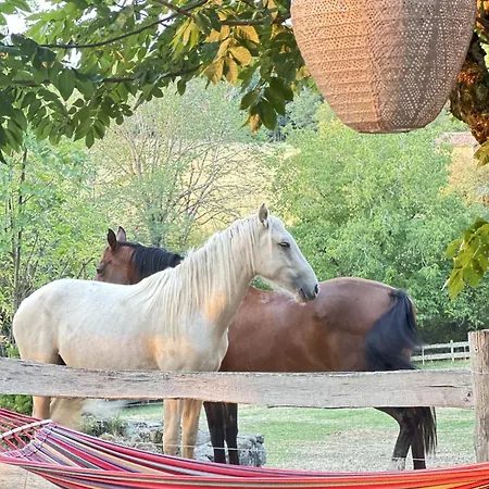 La Vie Pradis Ferienhaus